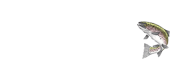 Wilderness Waters Travel